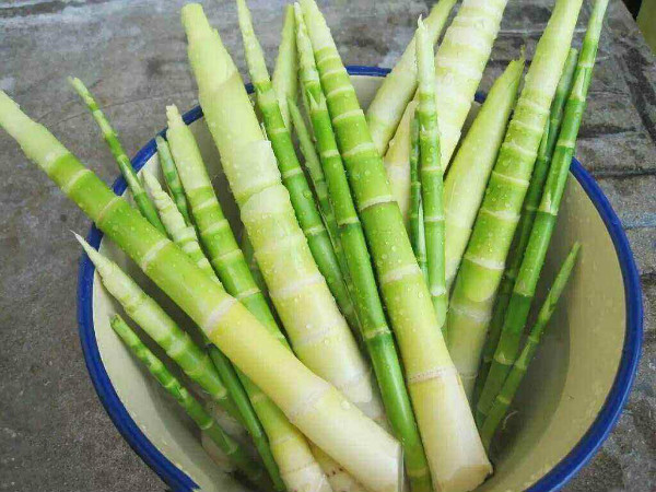 六种人不宜多吃竹笋,吃竹笋过敏的症状是什么样的