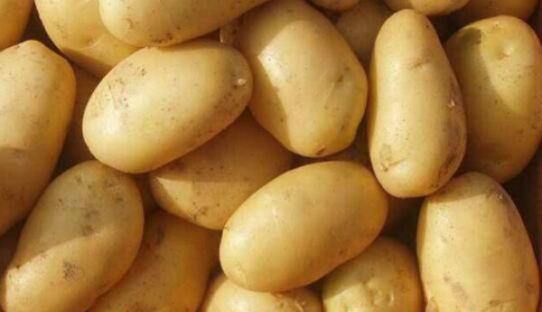 土豆不可以和什么一起吃,哪些人不适宜吃土豆
