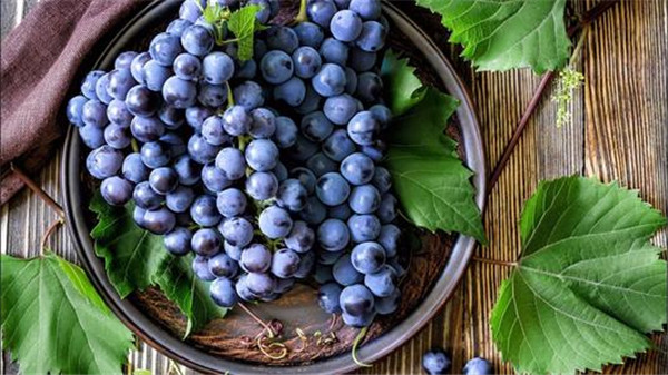 吃葡萄的好处和坏处,每年几月才是真正吃葡萄的季节
