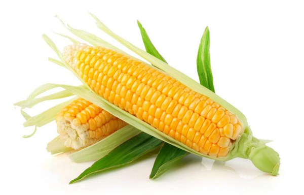 冬季养生必吃十种食物,冬天适合吃什么养生食物