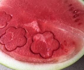 西瓜盆栽水果拼盘做法步骤图 让你的食欲幸福得像花儿