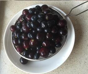 西瓜盆栽水果拼盘做法步骤图 让你的食欲幸福得像花儿